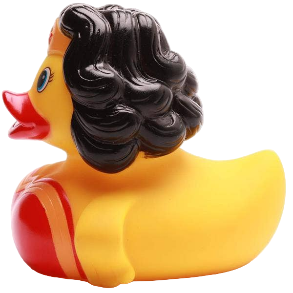 Canard WonderCanard