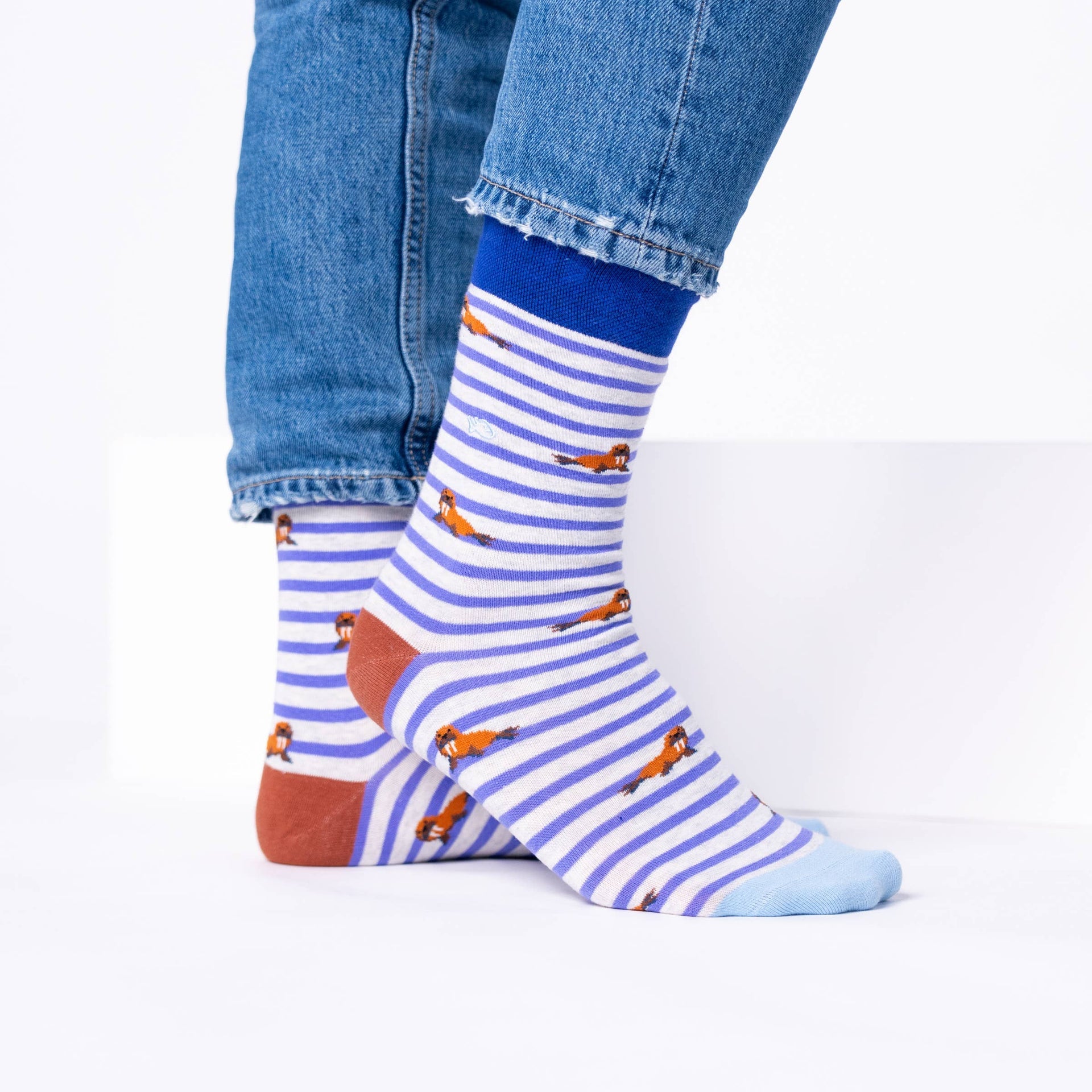 Chaussettes en Coton Peigné Animaux - Morse