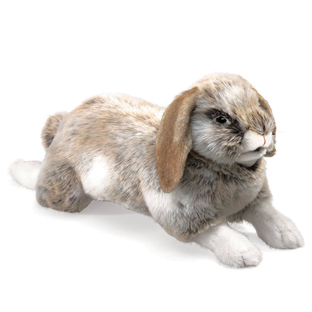 Marionnette à mano Conejo à oreilles pendantes 2892/ Conejo, Holland Lop Folkmanis realista