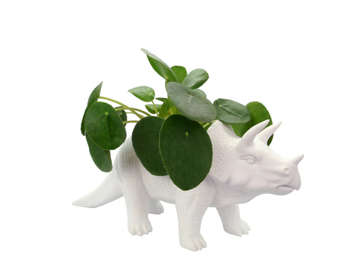Pot de fleur Dinosaure Tricérapot Bitten – Cache-pot original