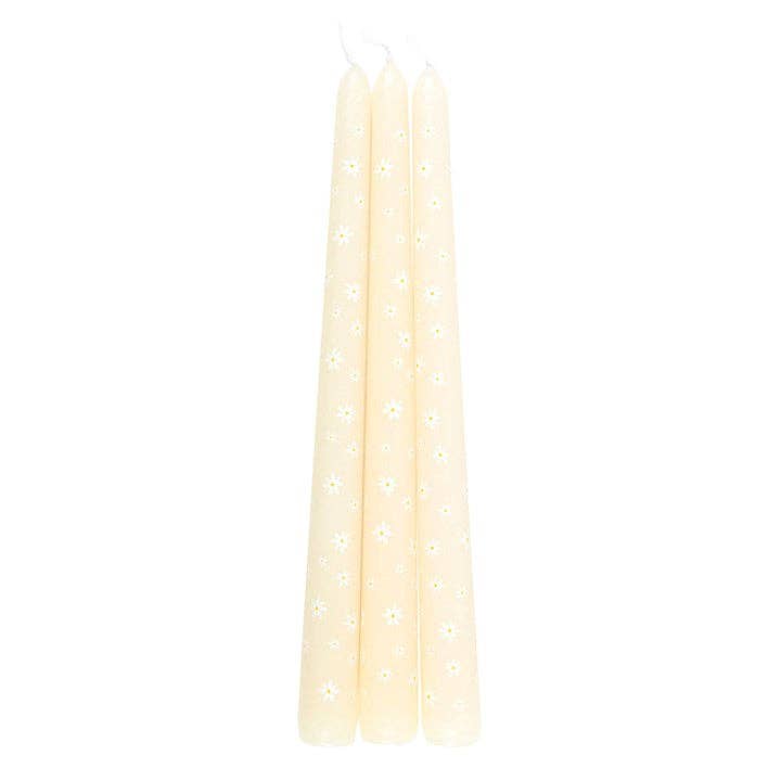 Ensemble de 3 bougies motif Marguerites “Carrot Patch”
