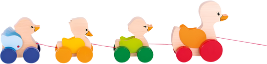 Ζώο για έλξη - Μεγάλη οικογένεια πάπιας