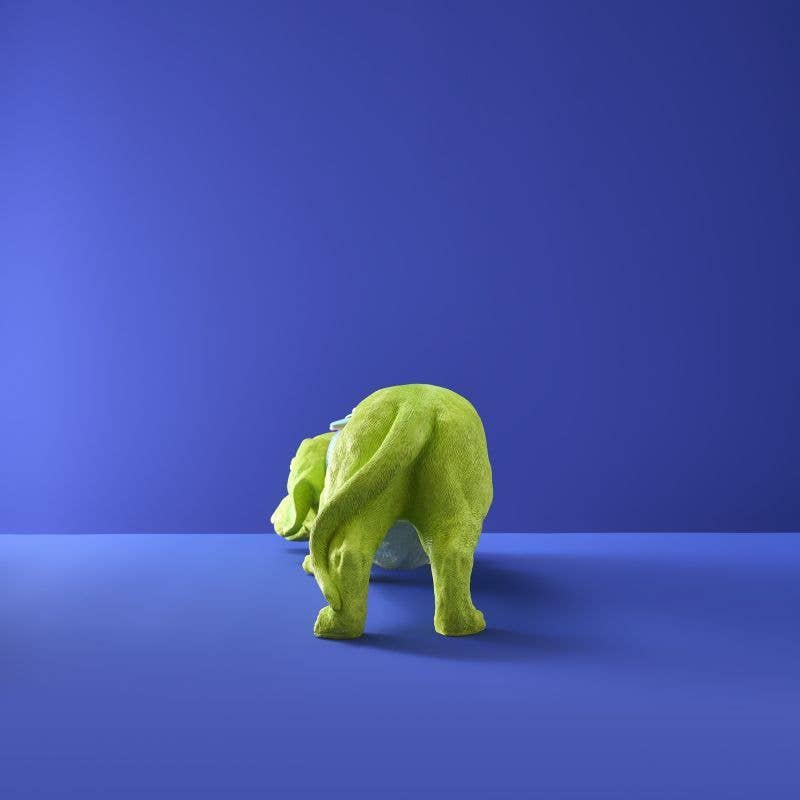 Chien Teckel Wilfried M. Collier, Résine poly verte