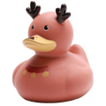 Canard Renne