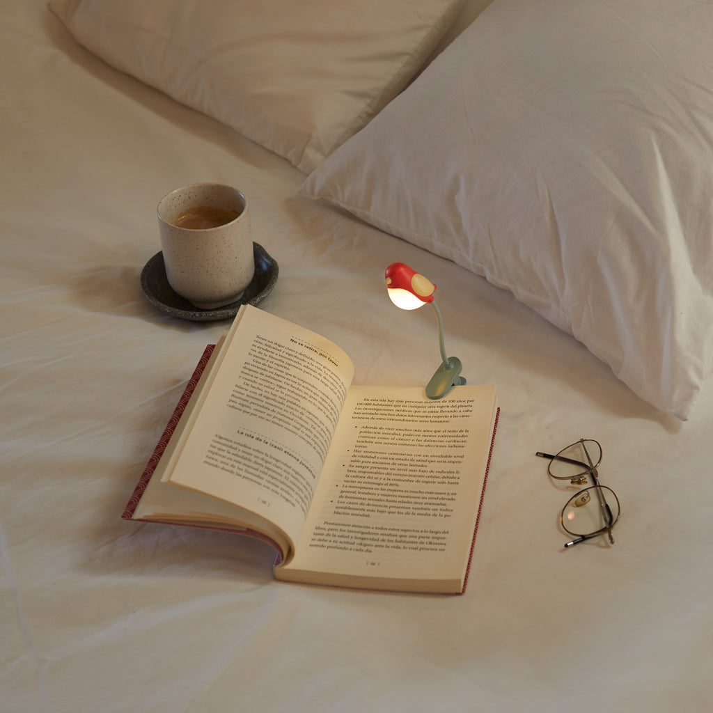 Birdie Book Light