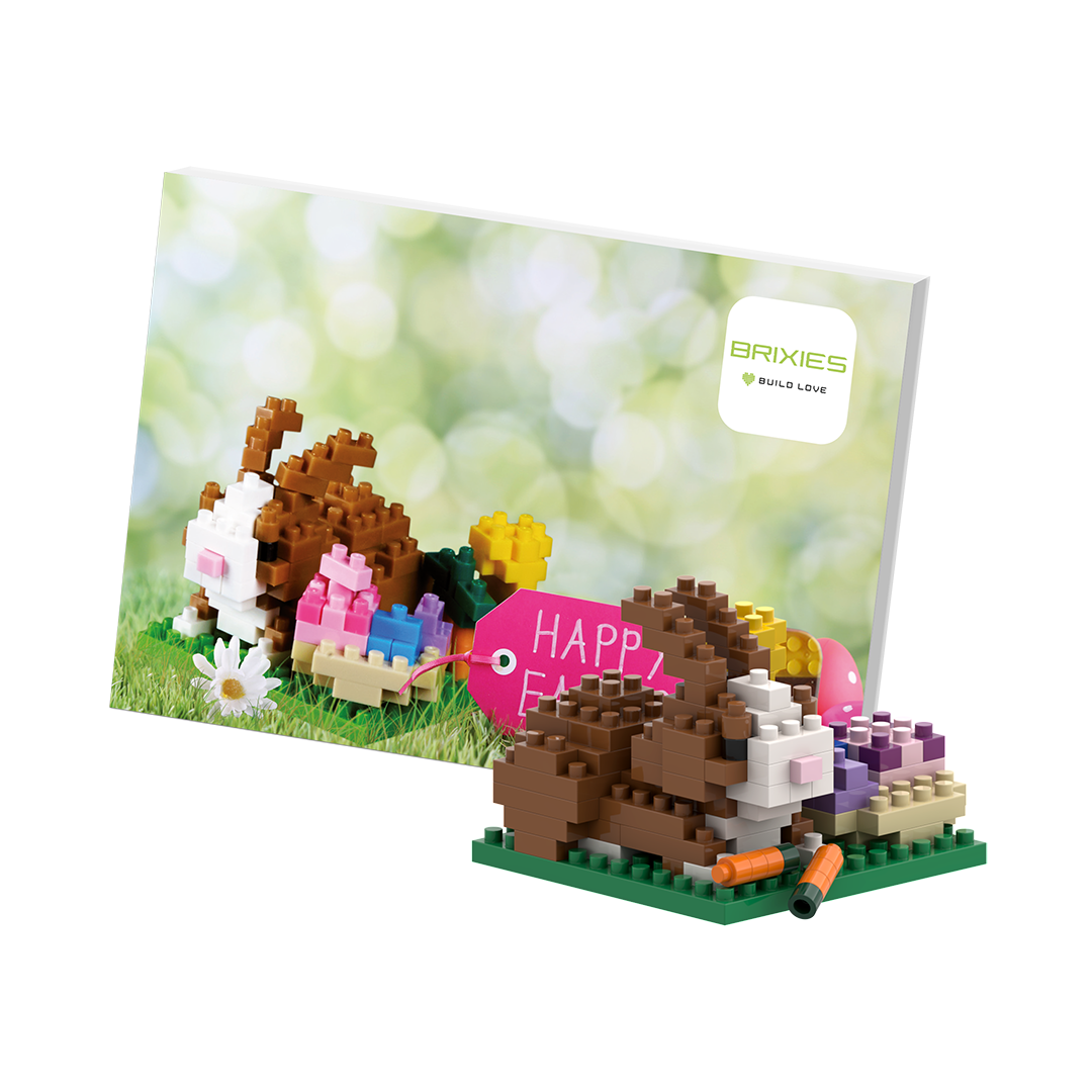 Carte postale BRIXIES Lapin de Pâques