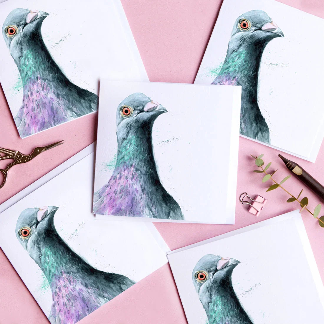 carte de voeux aquarelle pigeon kate moby 