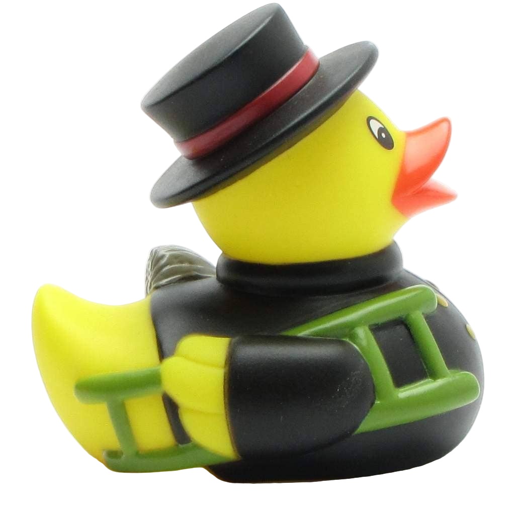 Chimney Sweep Duck