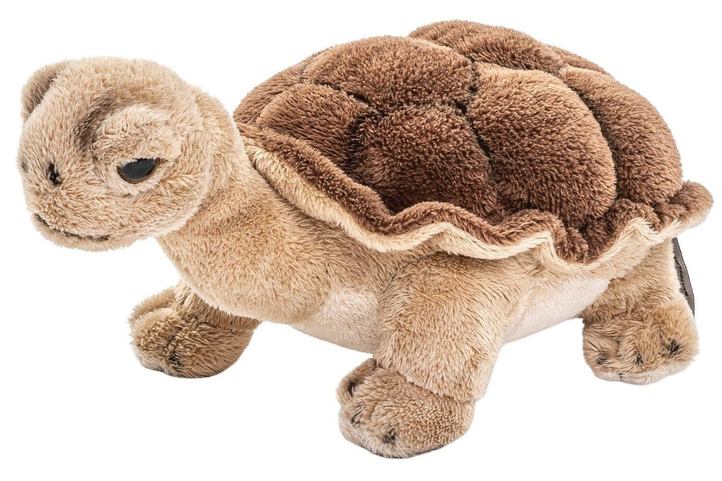 Turtle Plush