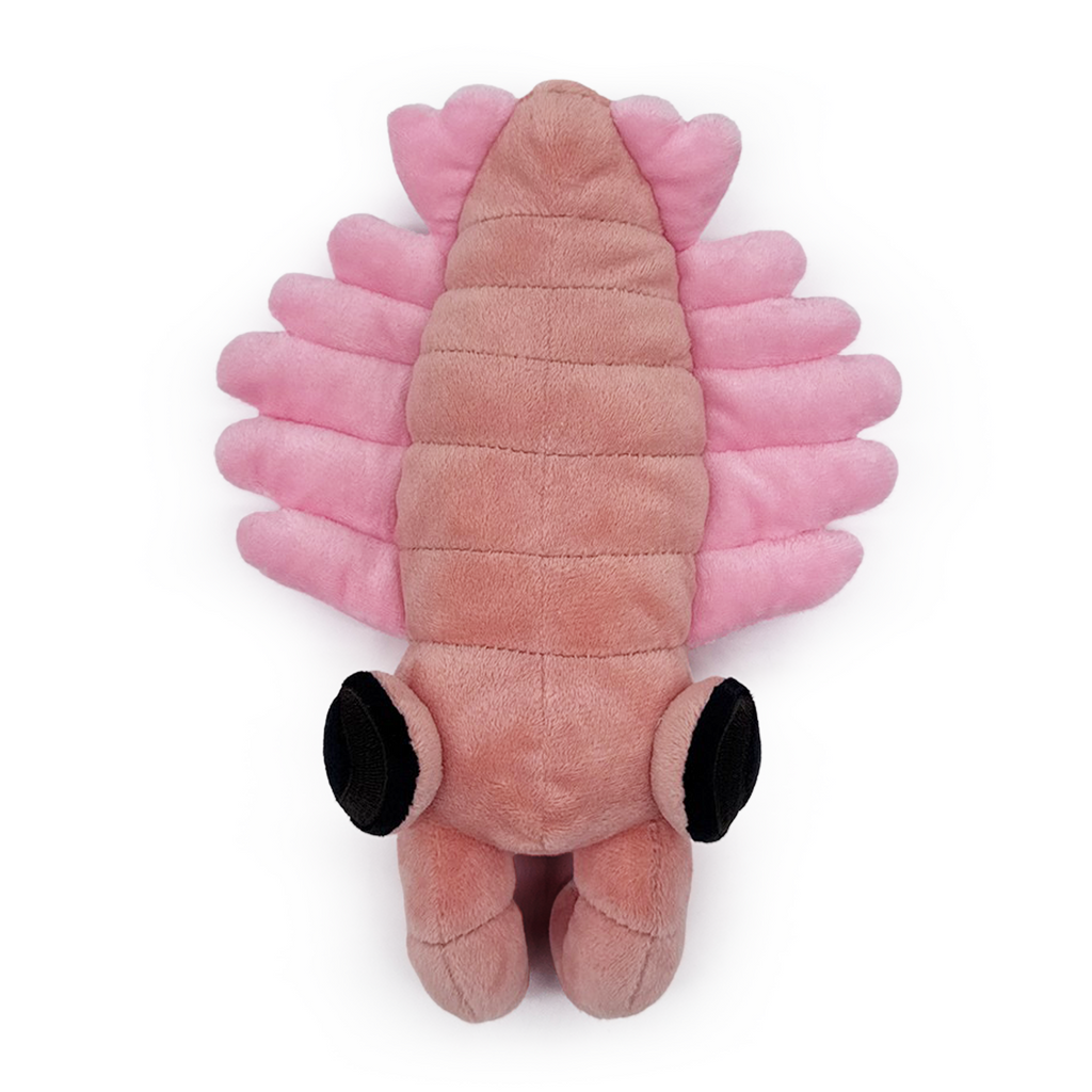 Anomalocaris Plush (9in)