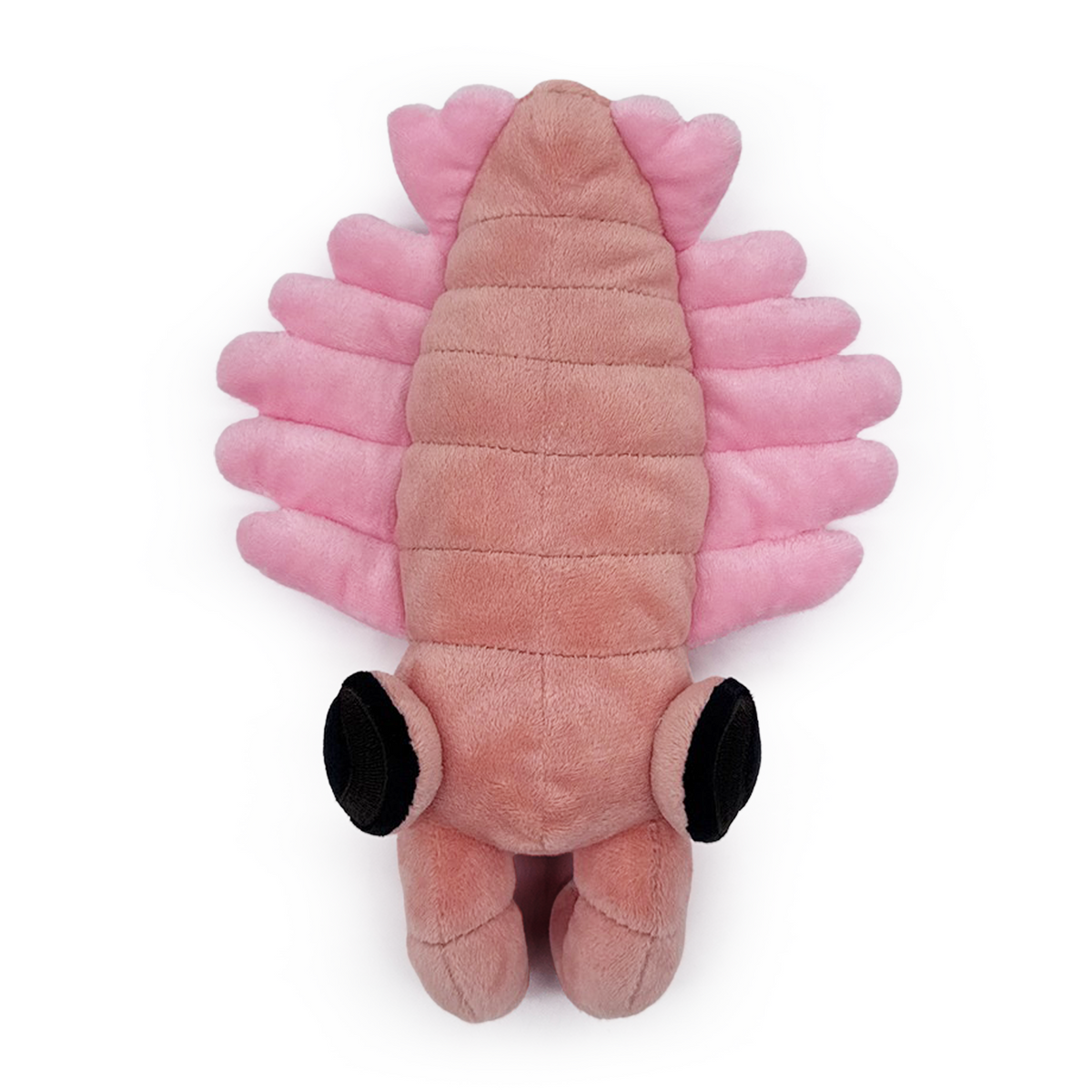 Anomalocaris Plush (9in)
