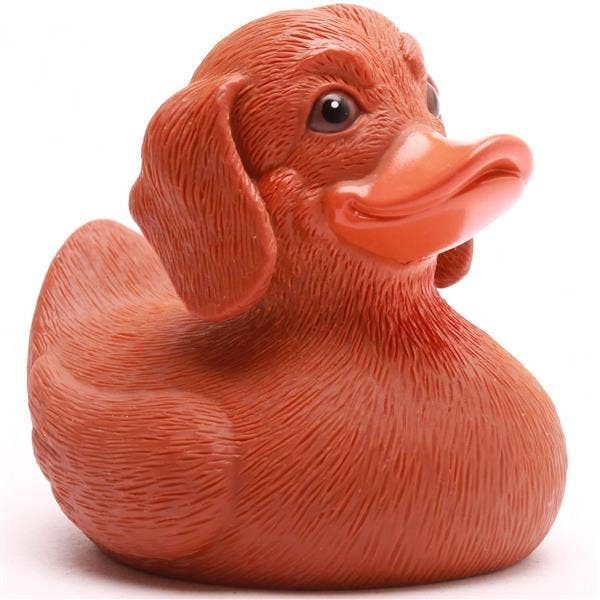 Canard Teckel