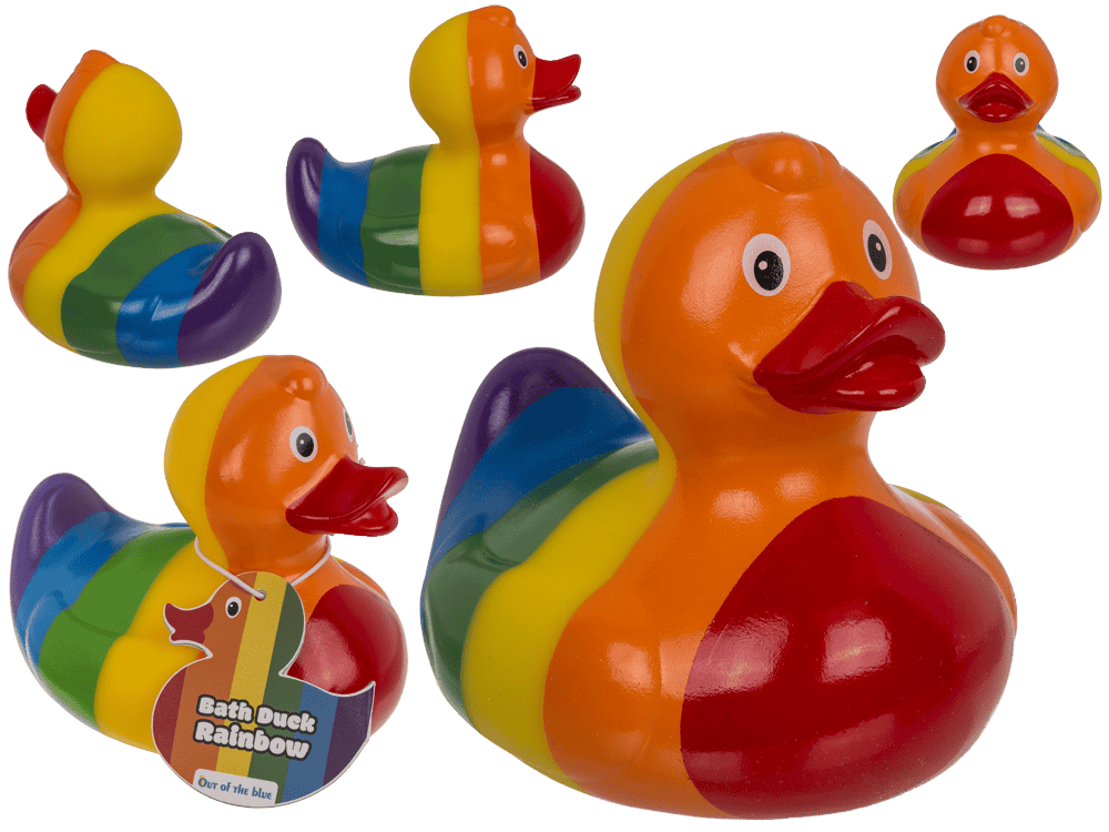 Canard arc-en-ciel – vue 2