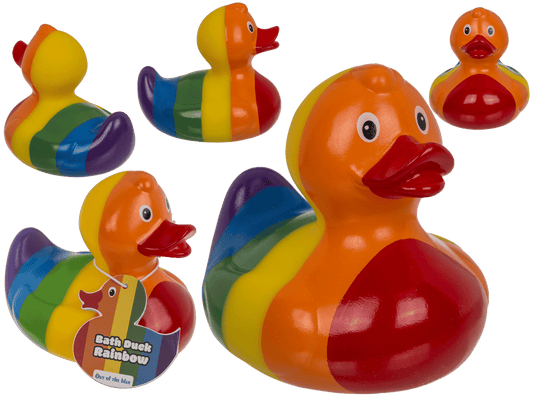 Canard arc-en-ciel – vue 2