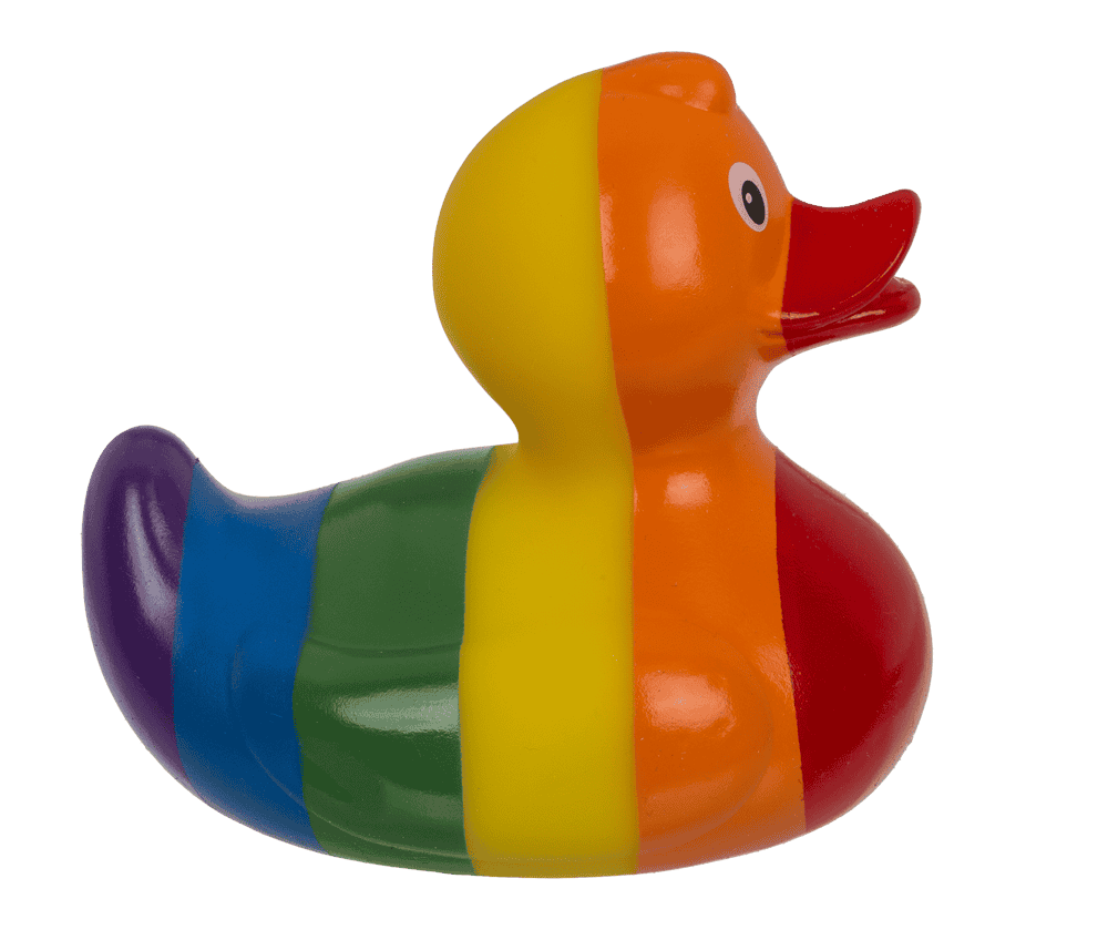Canard arc-en-ciel – vue 5