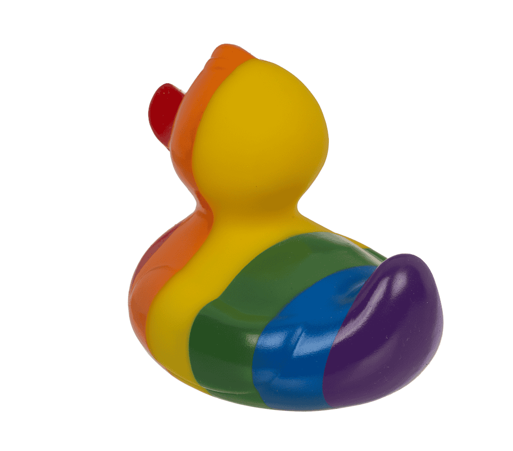 Canard arc-en-ciel – vue 6