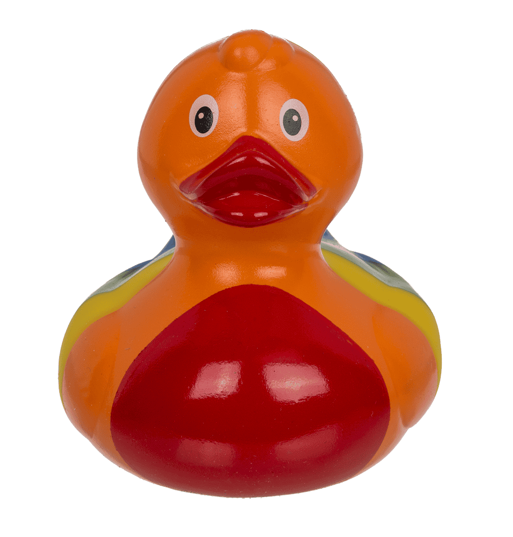 Canard arc-en-ciel – vue 7