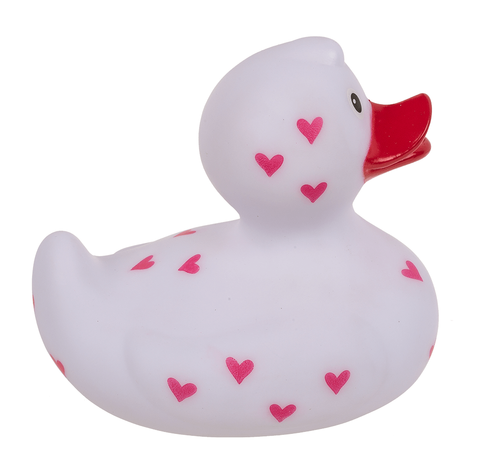 Canard Amoureux – vue 6