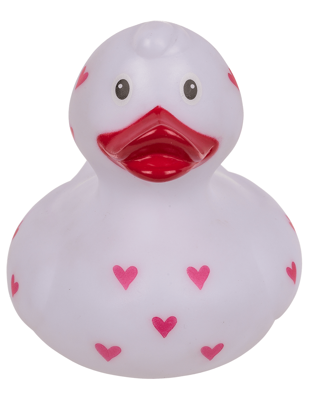 Canard Amoureux – vue 7