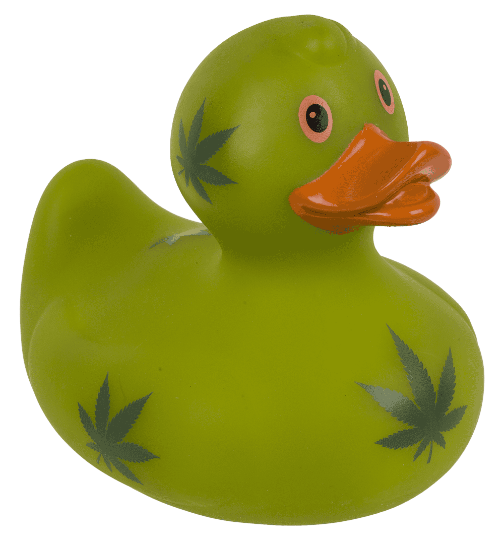Cannabis canard couineur – env. 10 cm – vue 5