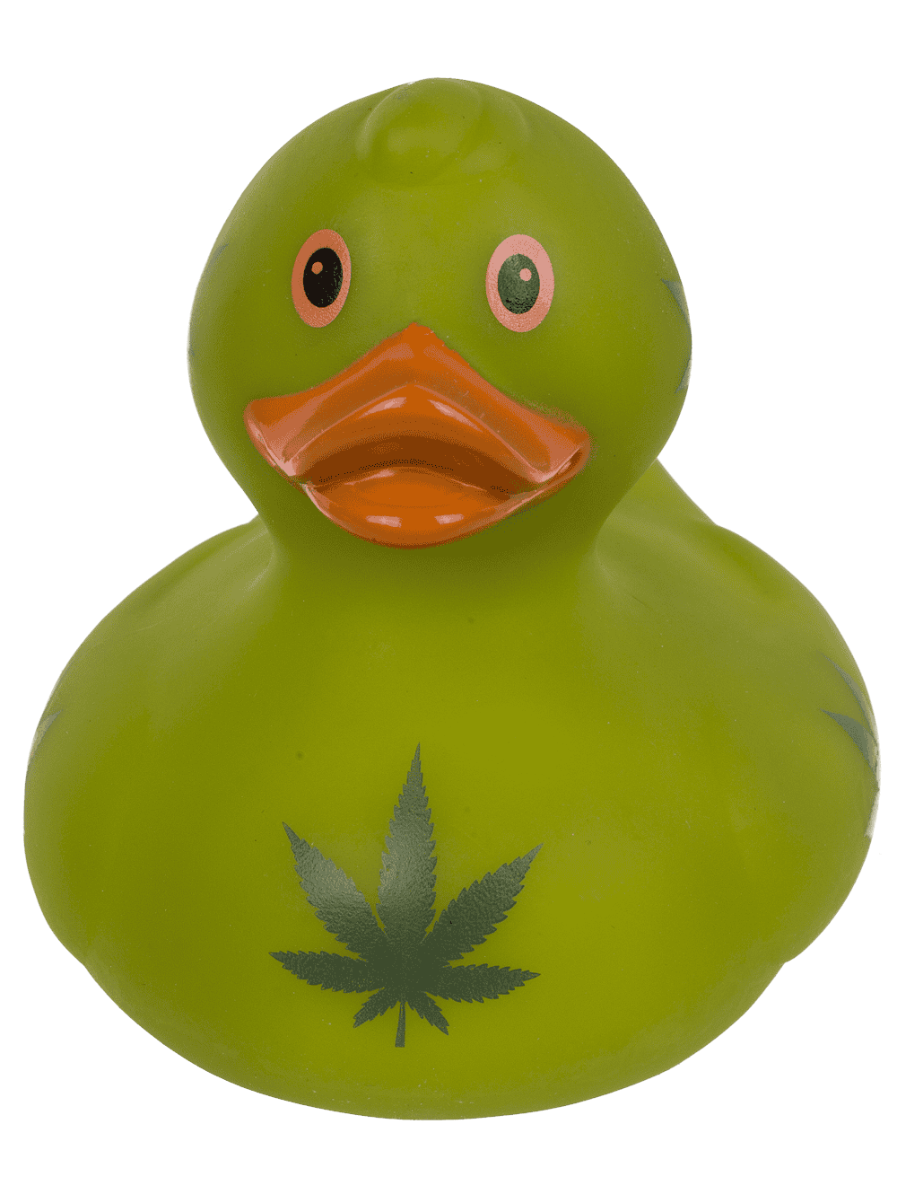Cannabis canard couineur – env. 10 cm – vue 6