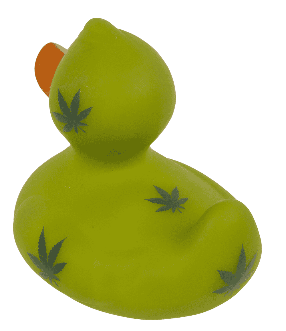 Cannabis canard couineur – env. 10 cm – vue 7