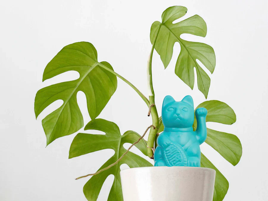 Arrosaur Autonome Gato Afortunado Azul Bitten – Objeto déco original
