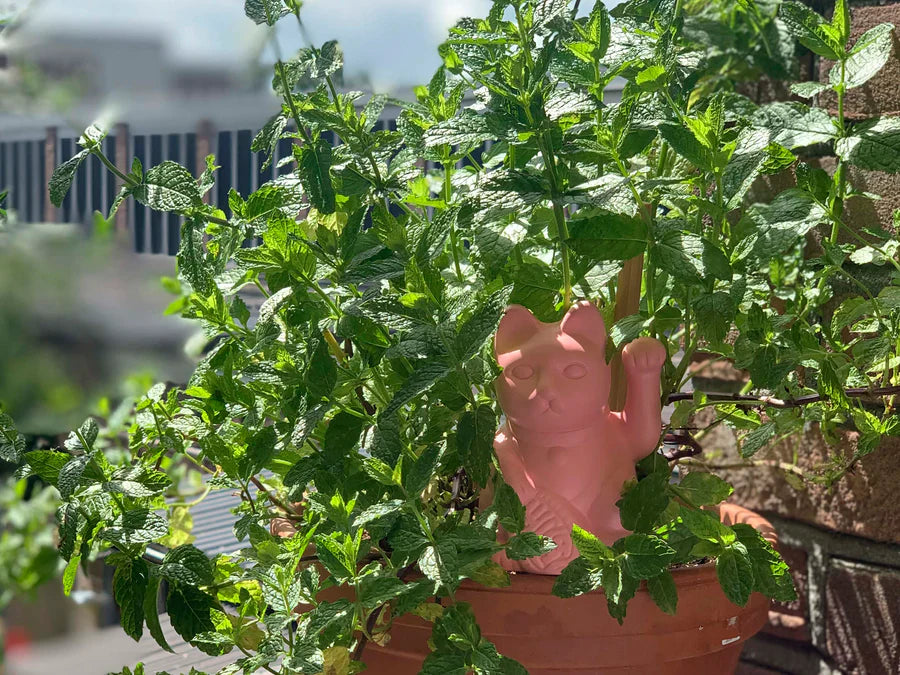 Arroseur Autonome Chat Chanceux Rose Bitten – Objet déco original