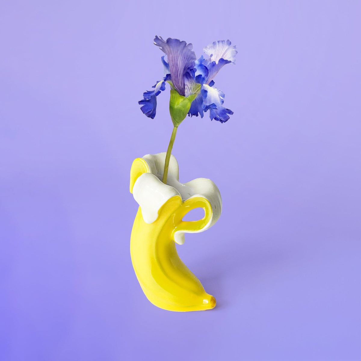 Mise en situation : Petit Vase Banana Romance – Donkey Products