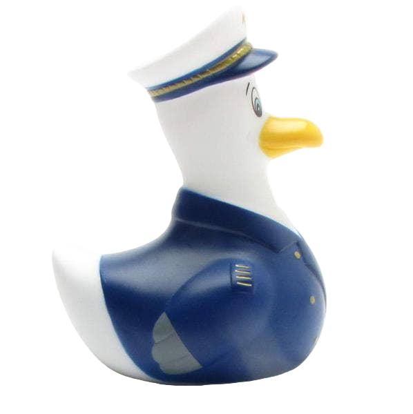 Mouette Capitaine
