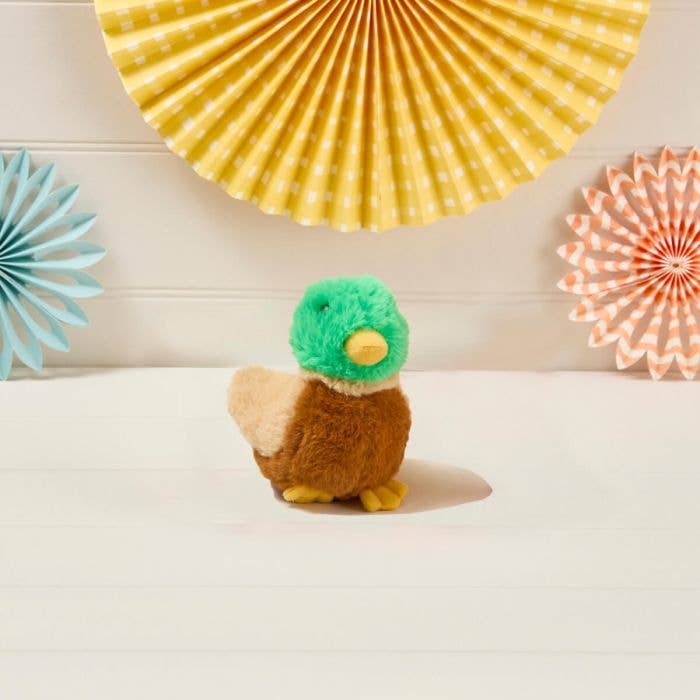 Petite Peluche Canard Colvert
