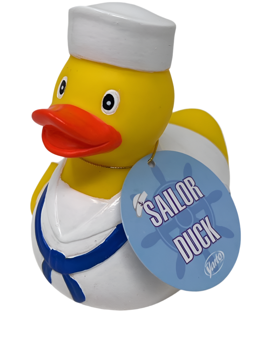American Sea Duck