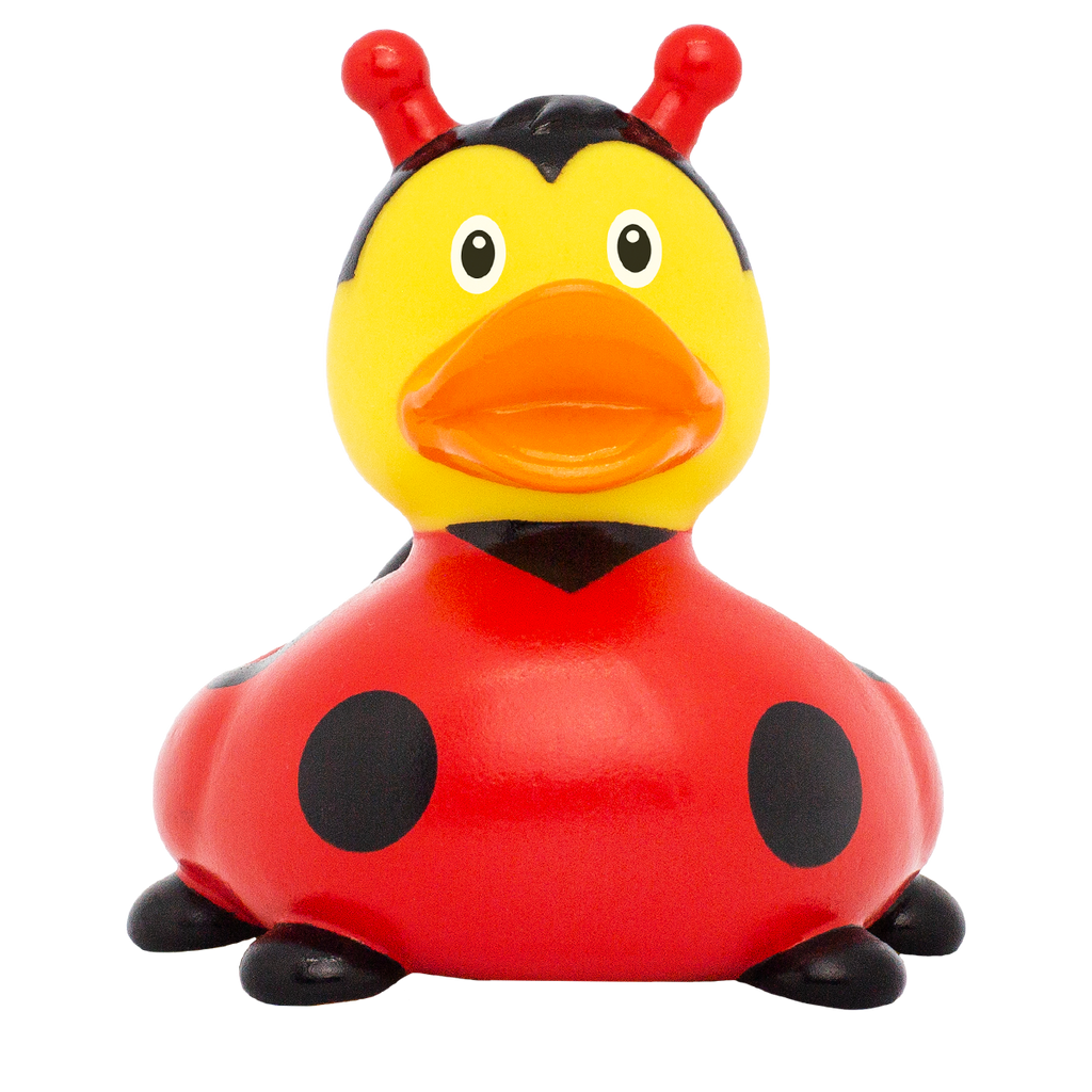 Canard Coccinelle Nouvelle Version Lilalu - vue 1