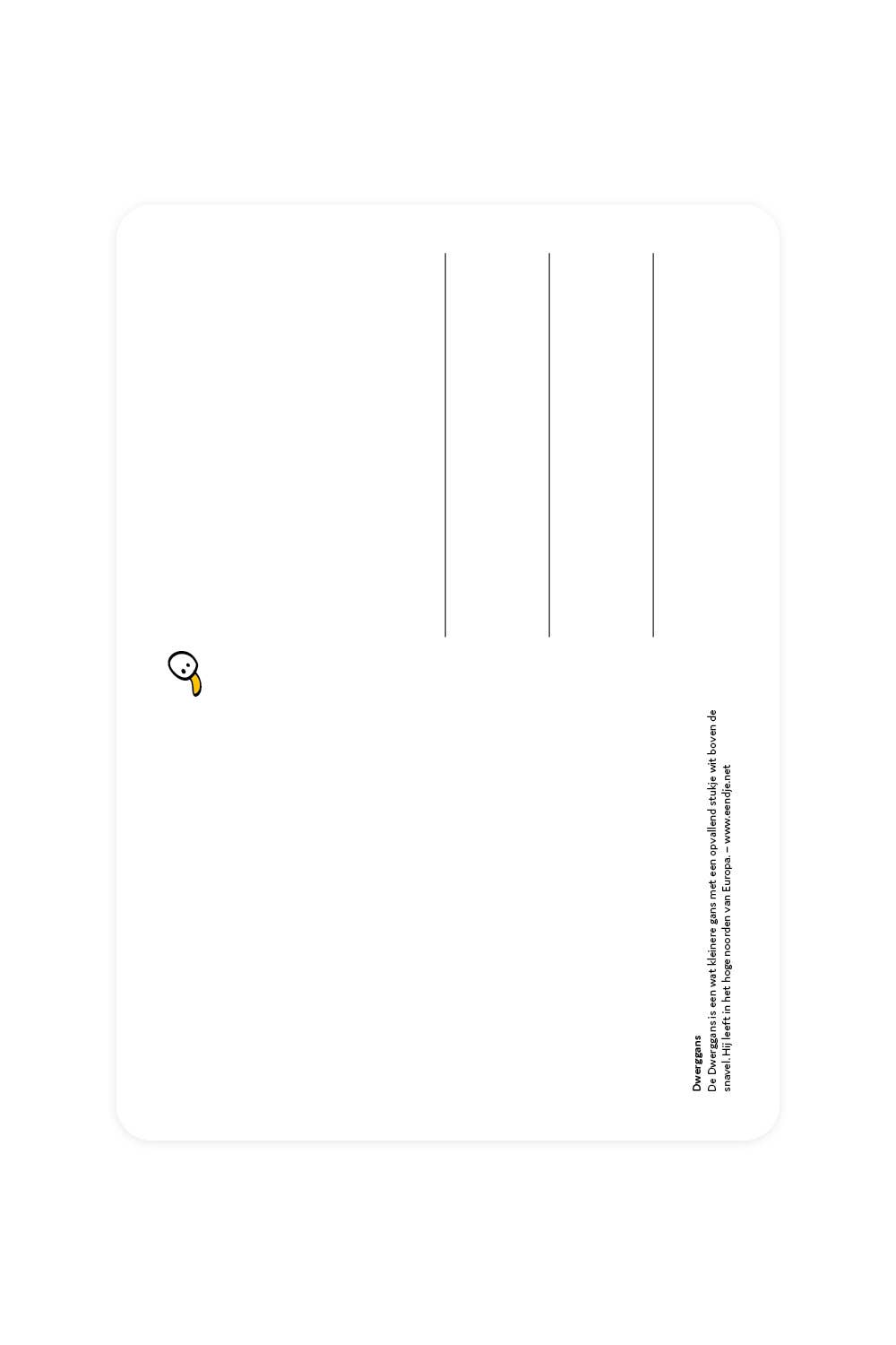 Postcard with the dwarf goose