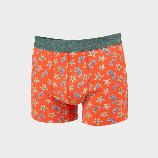 Boxer En Coton Biologique - Hippocampe
