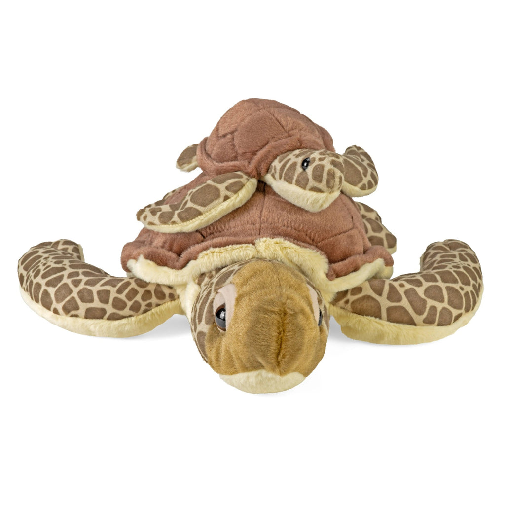 Peluche Tortue de mer verte - 30 cm Wild Republic – vue produit 2