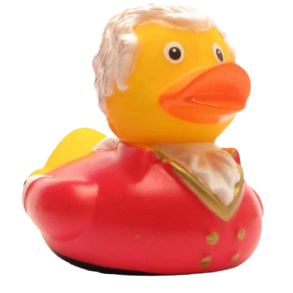 Canard Wolfgang Amadeus Mozart Duckshop CoinCaillerie