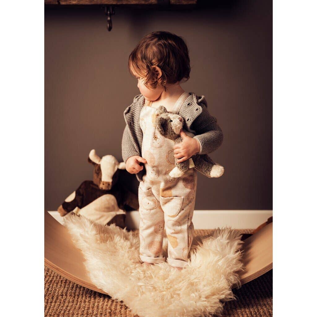 Animal Bébé Chat