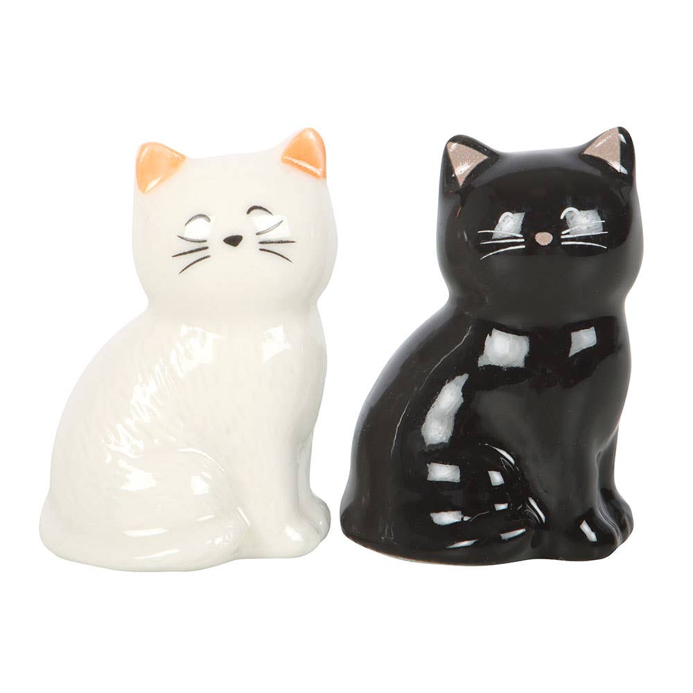 Lucky charms: black and white cats