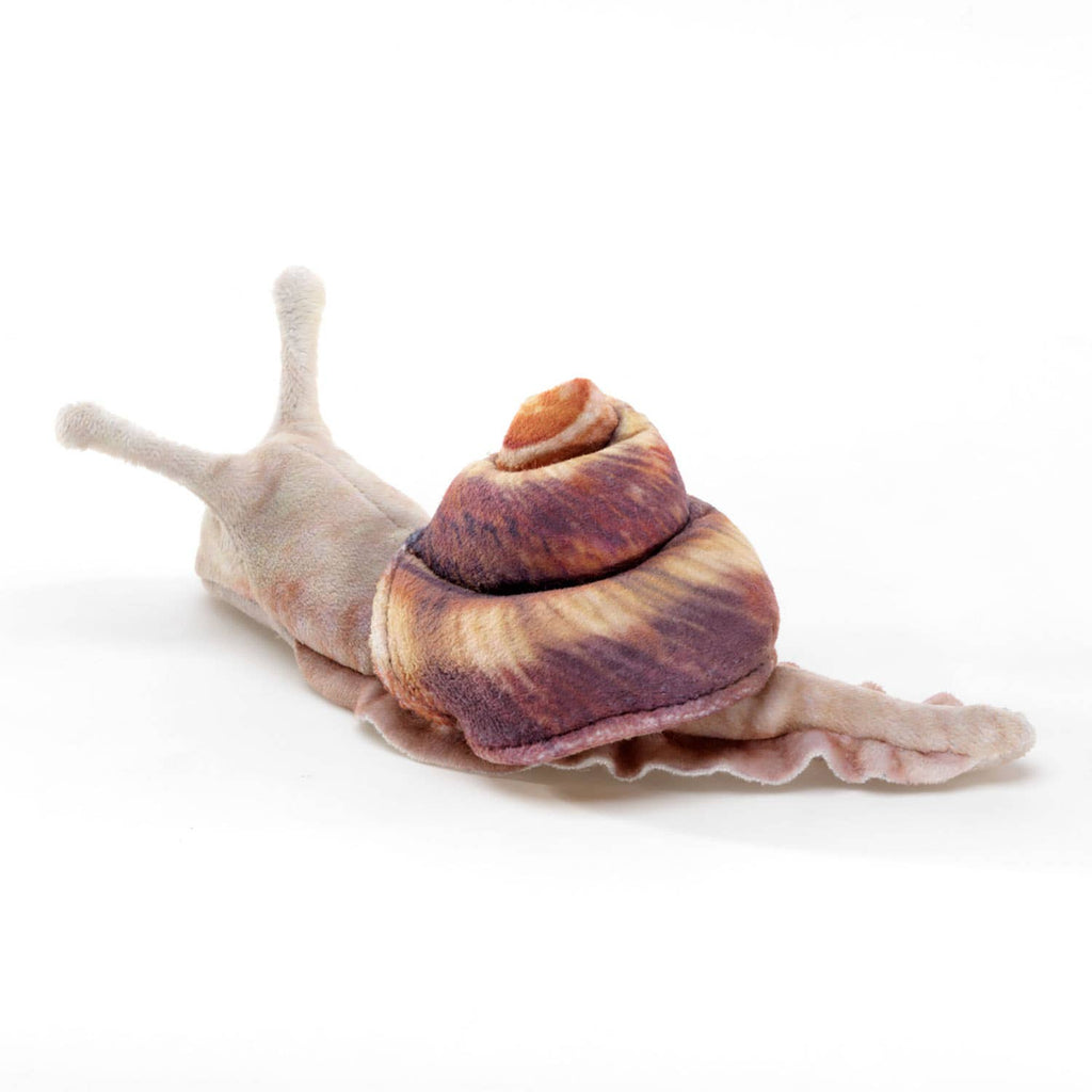 Marionnette à main Mini escargot/Mini escargot 8003 Folkmanis réaliste