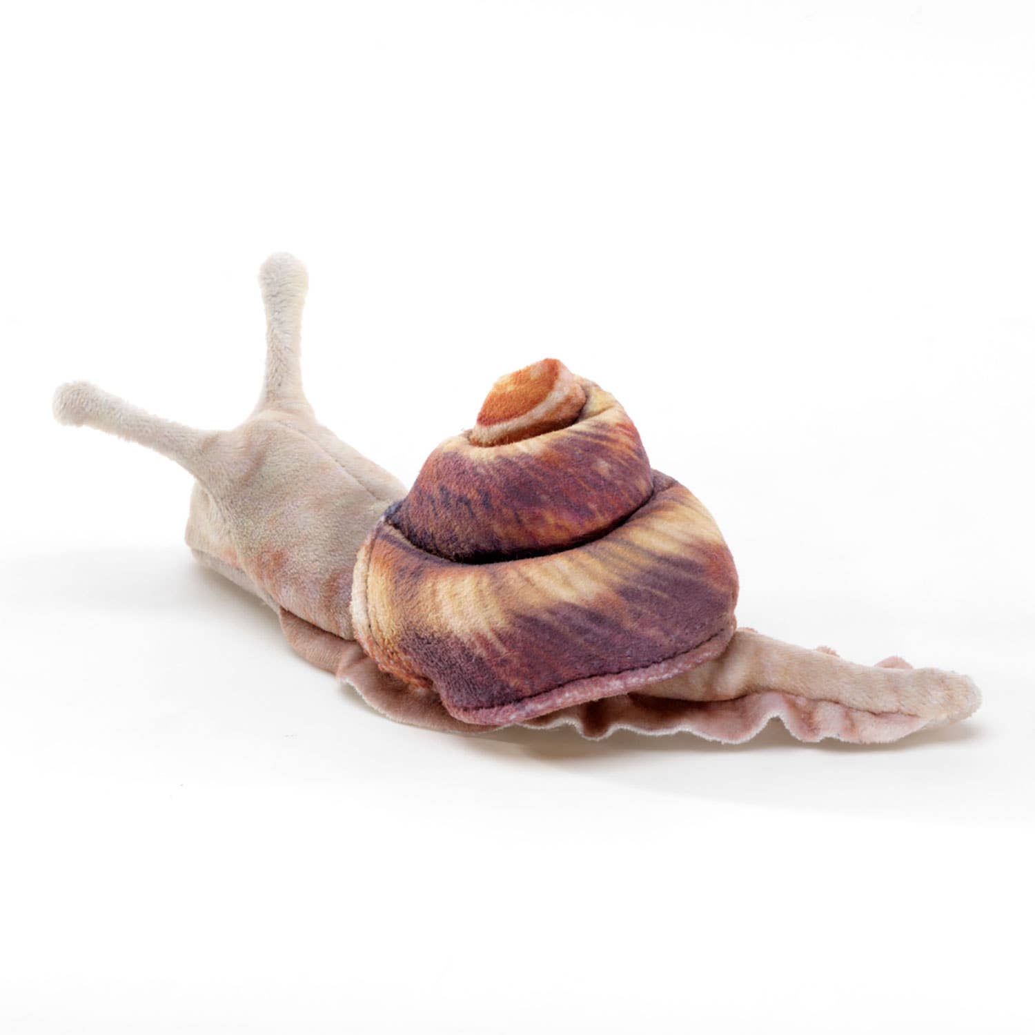 Marionnette à main Mini escargot/Mini escargot 8003 Folkmanis réaliste