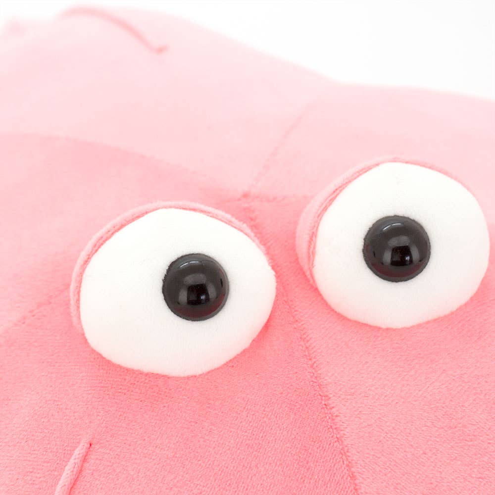 Peluche étoile de mer rose - 80 cm - 0+