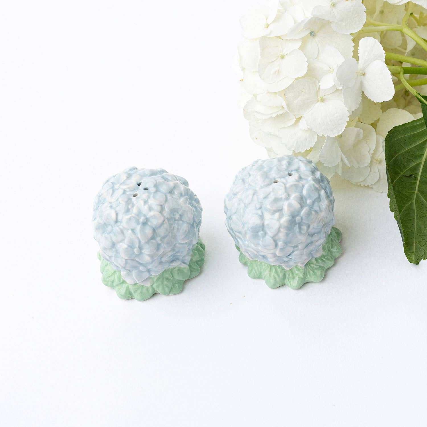 Sel et poivre Hortensia