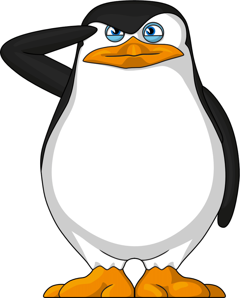 Skipper