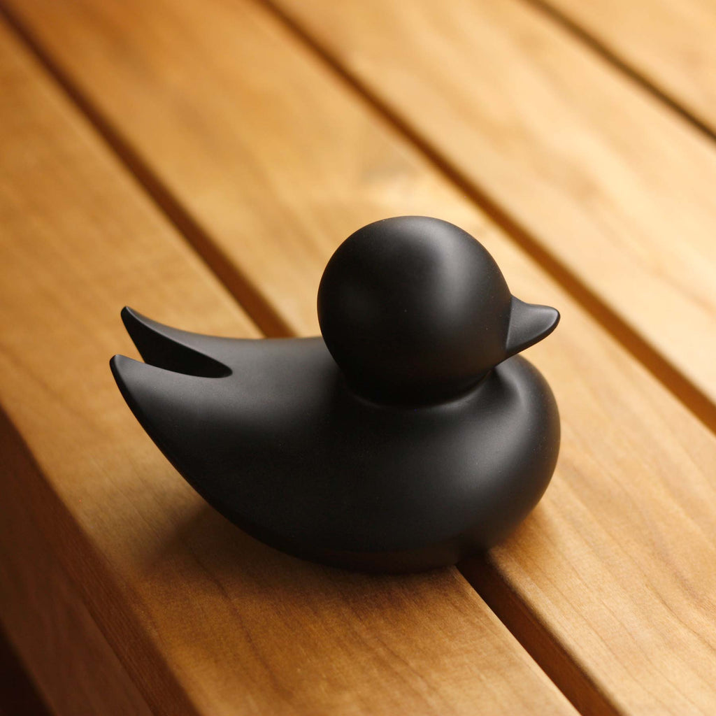 Canard Minimaliste
