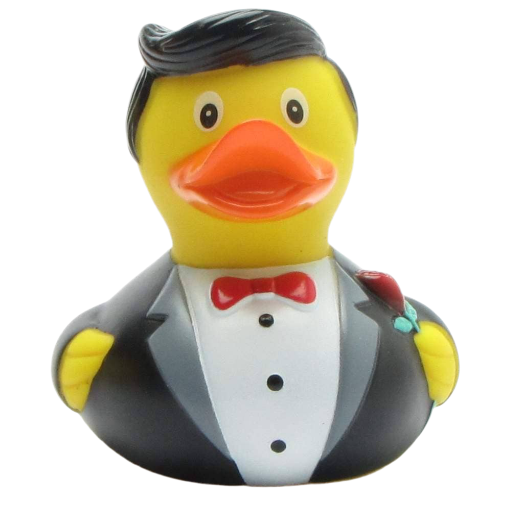 Ballsaal Cavalier Duck