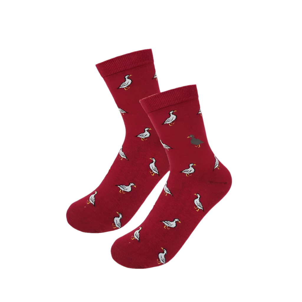 Chaussettes Canards Blancs