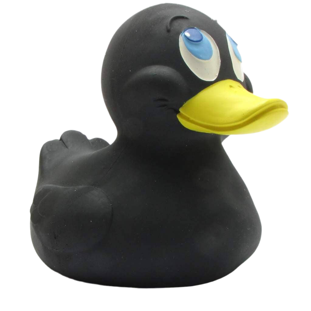 Canard Noir XXL