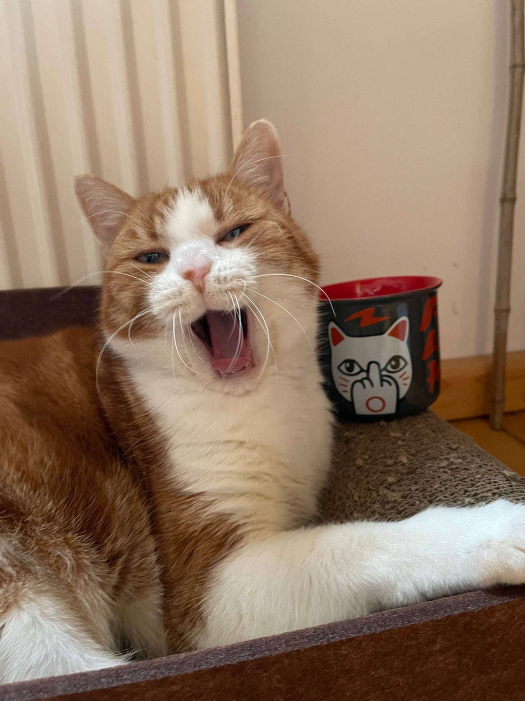 Mug Chat chanceux « F**k You Neko » – 375 ml