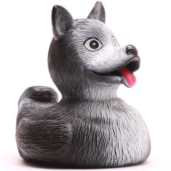 Canard Husky